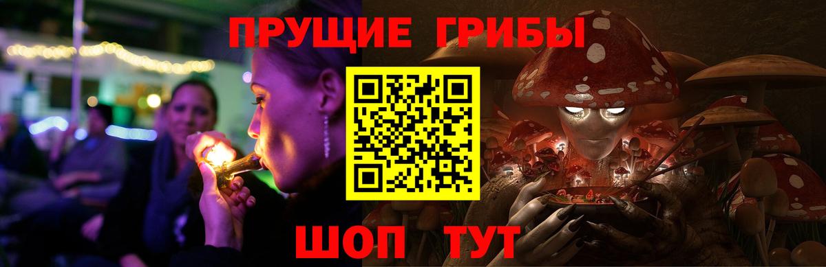 Тара  Псилоцибиновые грибы мухоморы  Галлюциногенные грибы Psilocybe  Вход с VPN 